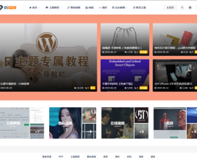 ripro子主题全站美化适配ripro6.3版本(纯美化包不含主题)