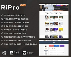 RiPro日主题V6.6官方最新版美化包-子主题huzao-child简洁大气集成后台美化包v1.6