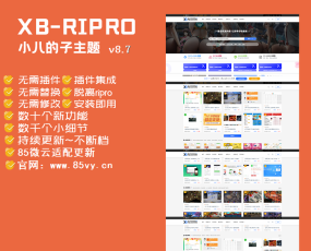 【RiPro主题】小八子主题v8.7,极致美化,功能超乎所想