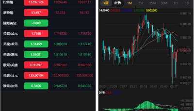 繁体USDT微交易微盘时间盘K线完整金融系统源码 已去后门+去除广告
