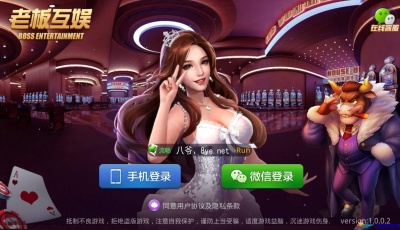 运营接单牛大享升级版本+大联盟带俱乐部+后台可控制