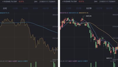 新品FXcoin交易所带杠杆合约控盘分销/fastadmin框架二开/带app源码下载