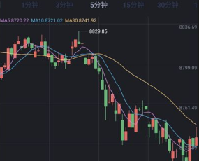 最新FXcoin交易所带杠杆合约控盘分销/fastadmin框架修改/APP源码