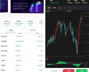 领峰国际白色简洁微盘交易微盘二开K线完美版源码