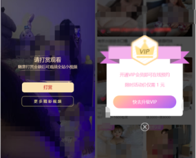 全新暗lei源码_有APP端_支持代理_附安装教程-支持七种模板-代理分成-邀请码-视频打赏-充值-抢单暗lei-任务