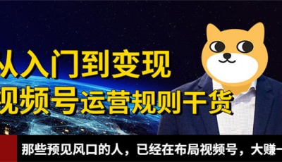 视频号运营全攻略看完少走3天弯路