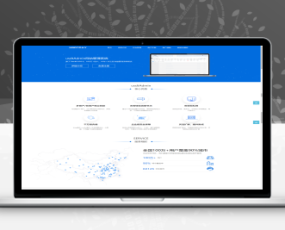 USDT支付系统/自动回调/虚拟币支付/区块链支付/对接钱包自动充值回调
