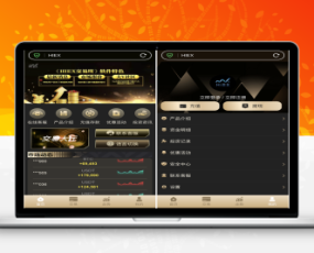 运营BTC/USDT/28伪交易所!