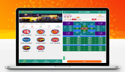 番摊玩法完美运营版本/带机器人+无限加彩+代理纯源码可任意二开